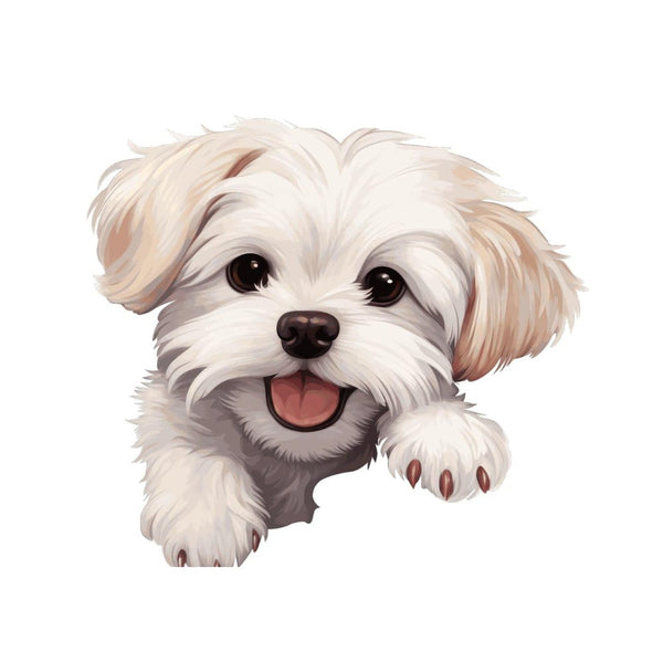 Maltese Dog Stickers - Vinyl Decal Dog Car Cracking Bumper Sticker Dog Mom Dad Christams Gifts Die Cut Decals with Multiple Size Decorations for Snowboard Windows Heat and Cold Resistant 8 Inch